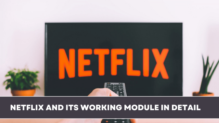 Netflix and its working module in detail