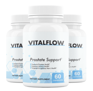 Vital Flow: Understanding Prostate Health