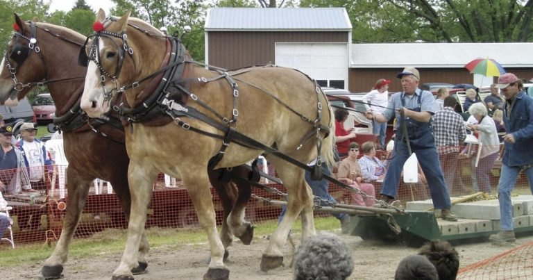 Fountain Horse Pull 2023